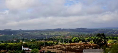 312596055 10228737545686324 2533518689358528974 n