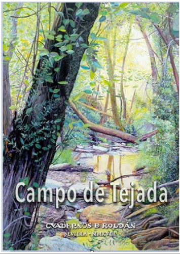 93 Campos de Tejada