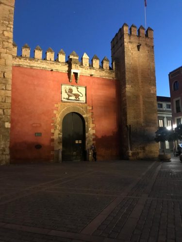 01 WhatsApp Image 2021-11-15 at 18.42.02